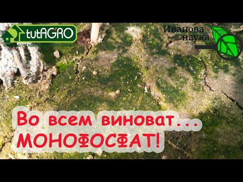Видео: 3 причины роста МХА на вашем участке. Одна из них - ОПАСНАЯ! Как избавиться от мха в огороде.