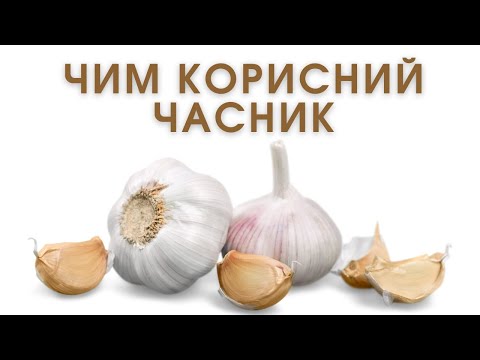 Видео: Чим корисний часник? | нутріціолог Анна Коломієць-Грицюк | Ранок надії