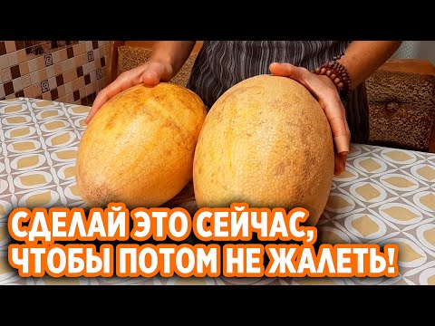 Видео: ДРУЗЬЯ ПРОСЯТ К ЧАЮ  УГОЩАЮ И СНОВА ДЕЛАЮ СЛАДКИЕ ЧИПСЫ ИЗ ДЫНИ /ЦУКАТЫ /COOKING @obovsemsmarusya