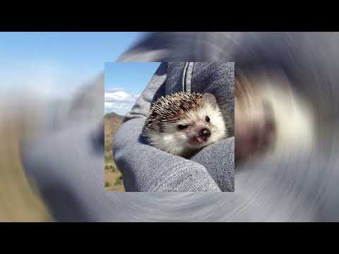 Видео: Konfuz - Кайф ты поймала(hardstyle remix)|aowaow