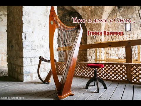 Видео: Тихо в доме у Саула. Елена Ваймер