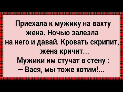Видео: Как Жена к Мужу На Вахту Приехала! Сборник Свежих Анекдотов! Юмор!