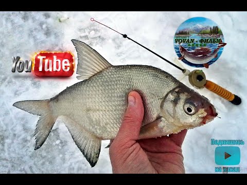 Видео: РЫБАЛКА  НА КВХ. ОТЛИЧНЫЙ КЛЁВ ЛЕЩА И СОРОГИ !!!  VOVAN - ФИЛЬМ