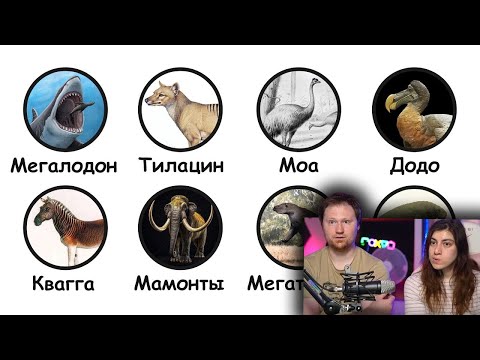 Видео: Вымершие животные, которые могли бы ещё жить | РЕАКЦИЯ