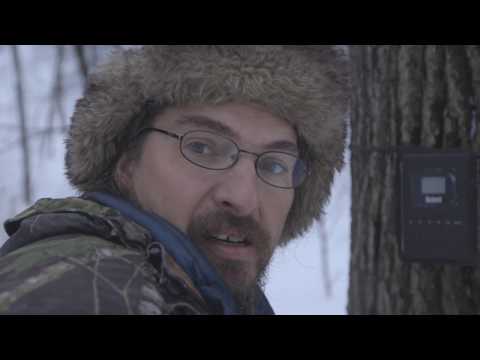 Видео: Гонка на выживание. Фильма о Центре реабилитации амурского тигра в Приморском крае