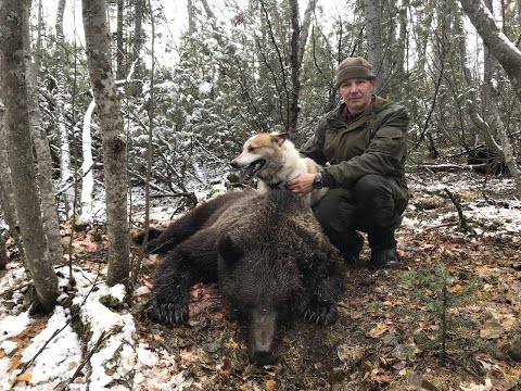 Видео: Осенний марафон