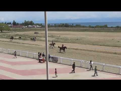 Видео: Жорго Салыш 18 06 2021 Чолпон Ата
