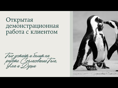 Видео: Согласование Тела, Ума и Души. Состояние устойчивости. Открытая работа #14