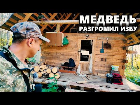 Видео: ЖУТКОЕ ПРОИСШЕСТВИЕ НА ИЗБЕ ПОВЕРГЛО НАС В ШОК \ НАПАДЕНИЕ МЕДВЕДЯ \ ЖЕНУ ТРЯСЁТ \ ФОТОЛОВУШКА СДОХЛ