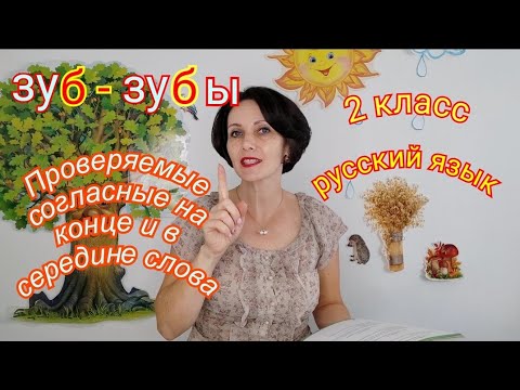 Видео: 2 класс. Русский язык. "Проверяемые гласные на конце и в середине слова"