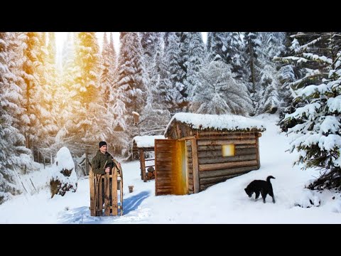 Видео: Строительство и жизнь в Бушкрафт-домах в дикой природе — полная история от начала до конца.