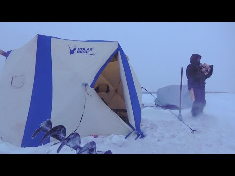 Видео: ВЫЖИТЬ В ПУРГЕ! ЖИЗНЬ И РЫБАЛКА НА СЕВЕРЕ ЯКУТИИ!!!