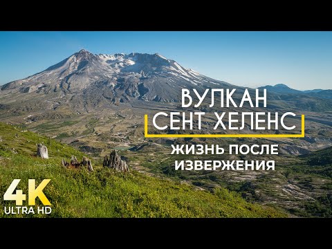 Видео: Вулкан Сент-Хеленс, Штат Вашингтон - Жизнь после извержения - Документальный фильм о природе