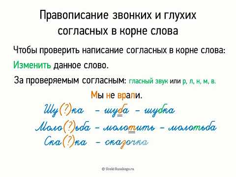 Видео: Правописание звонких и глухих согласных в корне слова (5 класс, видеоурок-презентация)