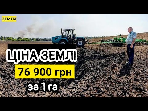 Видео: Ціна землі по областям на 18.07.22! Як зберегти зерно після жнив і не віддати задарма