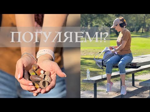 Видео: На прогулку в поисках природных материалов для работы / DIY TSVORIC