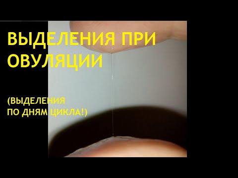 Видео: 🔔👆Выделения при овуляции (слизь во время овуляции). Расчёт лучшего времени для планирования!