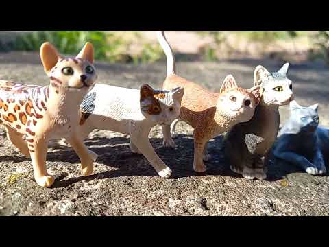 Видео: грозовое племя 1 сезон 6 серия финал!!!