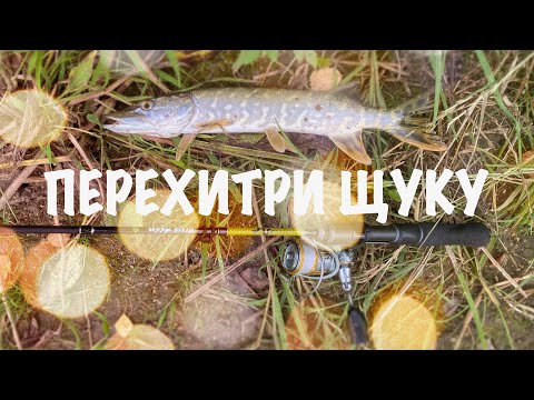 Видео: УТРЕННИЙ ДАЧНЫЙ МОРМЫШИНГ ИЛИ КАК ПЕРЕХИТРИТЬ ЩУКУ