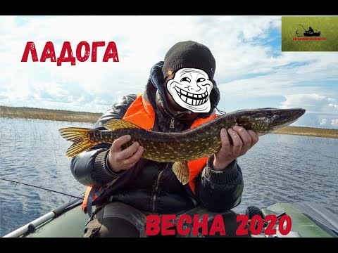 Видео: Ладога рыбалка, спиннинг, Лигово,весна 2020