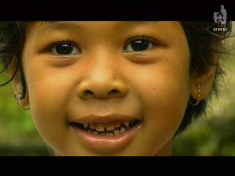 Видео: Непутевые заметки (2002) 12.05.2002