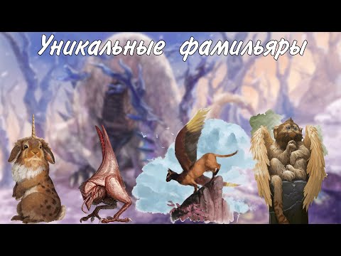 Видео: Уникальные фамильяры в Dungeons And Dragons