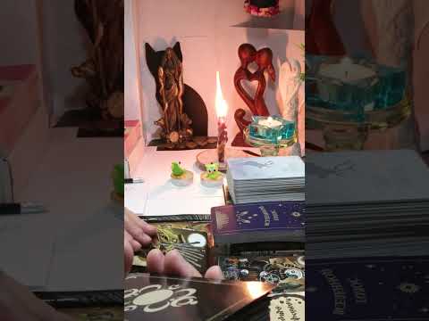 Видео: Крысы и Страшный Суд🤯🧐😲🤦‍♀️
