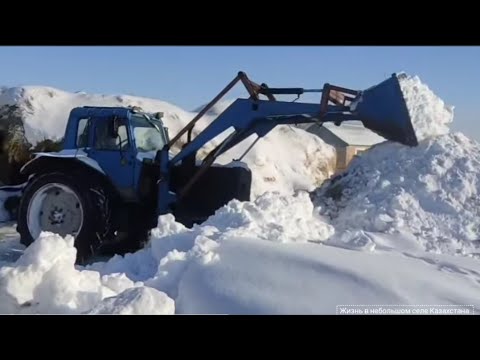 Видео: Чистим снег.  #Казахстан #селовказахстане #хозяйство #жизньвдеревне #деревня #животные #крс