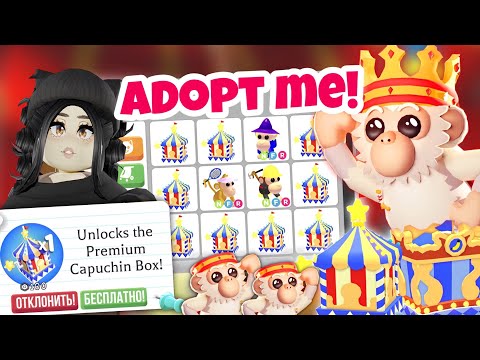 Видео: Я в шоке😱ОТКРЫЛА БОКС, а там.. КОДЫ в Adopt Me! НОВОЕ ОБНОВЛЕНИЕ Адопт Ми ЦИРК С ОБЕЗЬЯНАМИ ПОЛУЧИ!