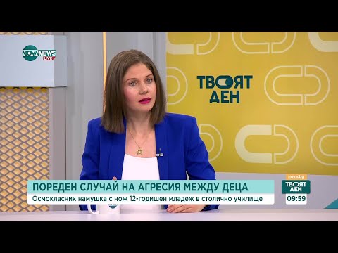 Видео: Агресията сред децата: Какви са психологическите корени на детското насилие?