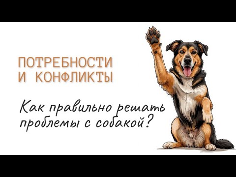 Видео: Потребности и конфликты потребностей