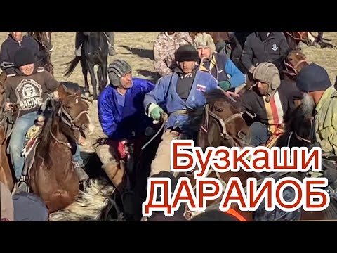 Видео: Бузкаши Дараиоб Ш.Шоҳин