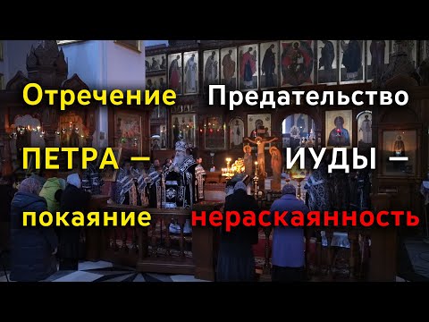 Видео: Проповедь митр. Арсения после 4-й пассии 2.4.23 г.