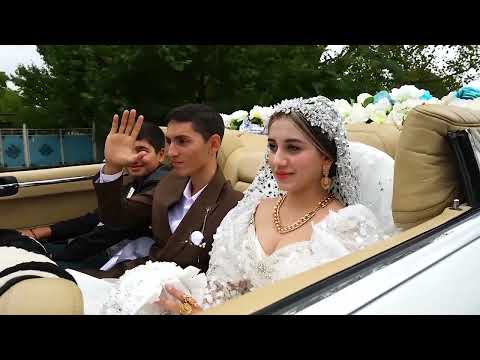 Видео: Цыганская свадьба - свадебный ролик Гриши и Ники 1