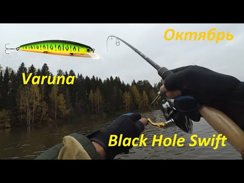 Видео: Black Hole SWIFT, OSP Varuna. Рыбалка. Щука. Октябрь