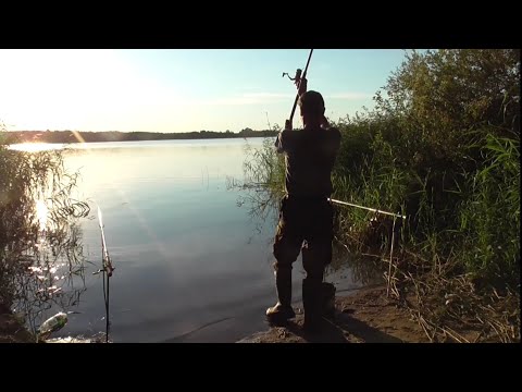 Видео: Не за рыбой, а на рыбалку... С донками на Вилейке. Рыбалка в Беларуси.