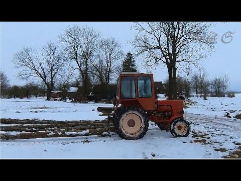 Видео: Т-25 и заготовка дров.