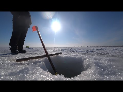 Видео: Дуплеты карася на озере Чаны 3 часть