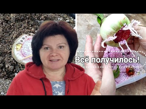 Видео: Копыто живёт! Да здравствуют новые корни!!