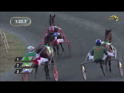 Видео: 14-й Заезд Приз «Золотая Корона Татарстана». Казанский ипподром. 30.08.2023