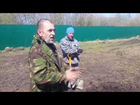Видео: Рекомендации Гусмана Минлебаева по посадке деревьев