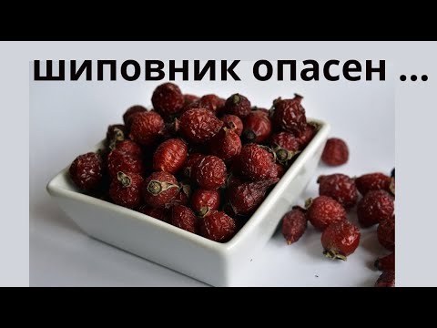 Видео: Шиповник не всегда и не всем полезен ..Что будет если пить чай из шиповника каждый день ?