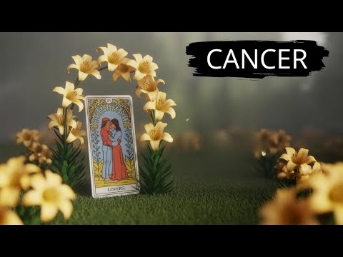 Видео: РАК 😍 Я ОЧЕНЬ ЛЮБЛЮ ТЕБЯ 💌 МНЕ ТАК ИЗВИНИТЕ, ЧТО ПРИЧИНИЛА ТЕБЕ БОЛЬ — ПОЖАЛУЙСТА, ДОВЕРЬСЯ МНЕ С...