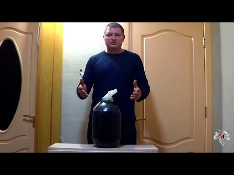 Видео: Как СДЕЛАТЬ ШАМПАНСКОЕ в Домашних УСЛОВИЯХ