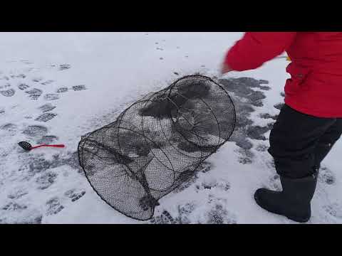 Видео: Установка верши ( катиски) под лед за 5 минут - уловистая снасть .