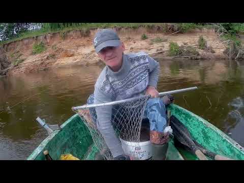 Видео: Рыбалка на Вятке , Криуша.
