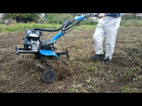 Видео: Фрезы или активные роторы: чем лучше работать после сидератов (и в других случаях)?