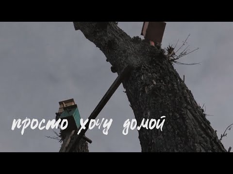 Видео: ssshhhiiittt! - домой (Lyric Video)