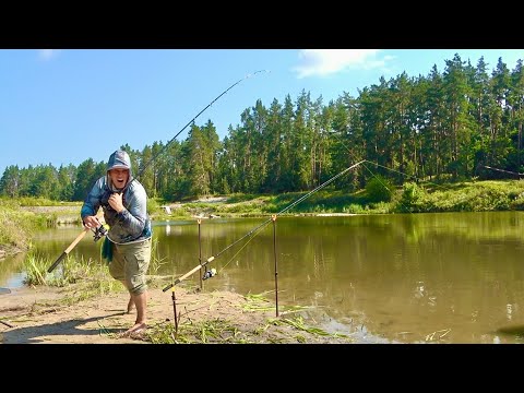 Видео: Грубанув я з прикормкою! Такого кльова в житті не бачив! Ловля коропа на кормаки!