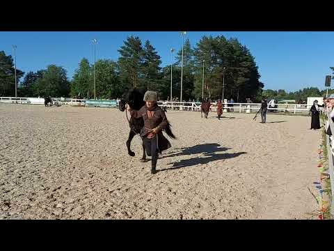 Видео: Иппосфера 2024. Четвёртый день. Породный ринг "Созвездие Шагди"
